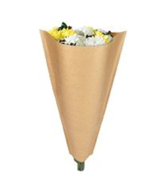 Covers Kraft 60*35*10cm x50 ( x 1 )