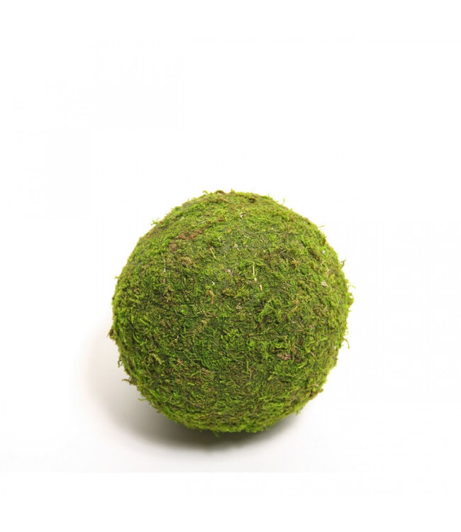 Boule de mousse séchée verte | Diamètre 8 centimètres | Commande par 12 pièces
