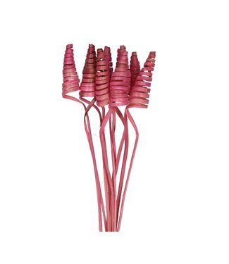 4A Bijsteker 50cm Cane Cone | Per 10 stuks
