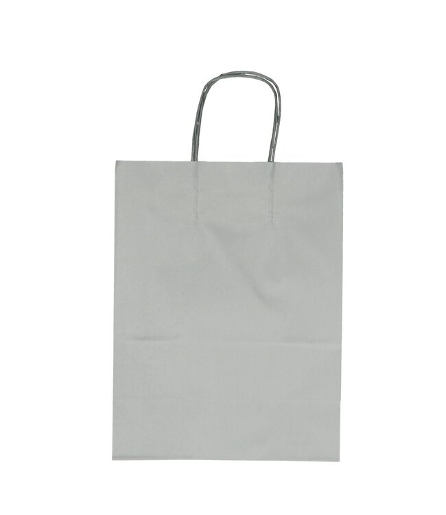 Silver-coloured paper bags | Size 23 x 12 x 30 centimetres | Available to order in quantities of 50