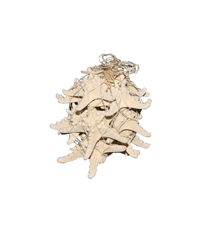 Zeester Knobby schelpen | Diameter 12 - 15 centimeter | Inhoud 10 zeesterren | Per stuk te bestellen