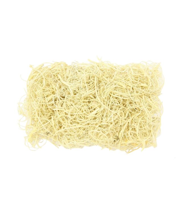 Dried Curly Moss | Weight 500 grams | Available to order individually