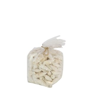 4A Cerethium Vertagus Muscheln | Inhalt 750 Gramm | Pro Stück