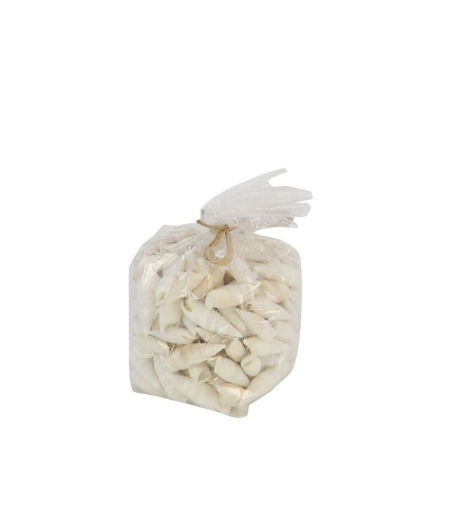 Cerethium Vertagus Muscheln | Inhalt 750 Gramm | Pro Stück bestellbar