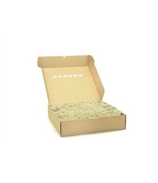 AD Ijslandmos (reindeer) Cream ( x 1 )
