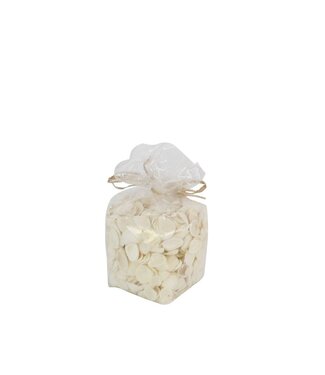 4A Coquilles blanches | Contenu 1 kilo | Par pièce