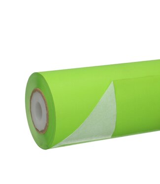 4A Papier Rol 25cm 50g 1.25kg wit ( x 1 )