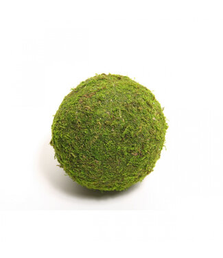 4A Boule de mousse séchée naturelle | Diamètre 15 centimètres | Par 12 pièces