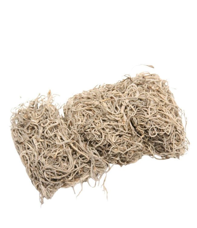 Droogdeco Tillandsia mos 80g ( x 1 )