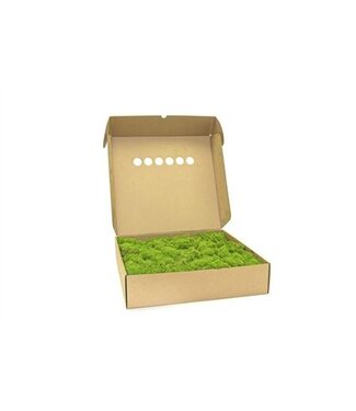 AD Ijslandmos (reindeer) Light Green ( x 1 )