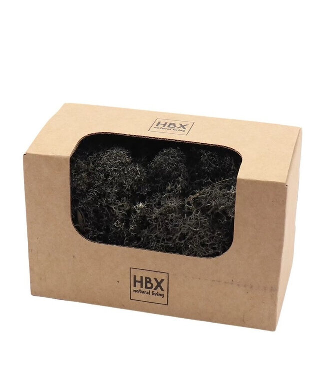 Black preserved reindeer moss | Weight 50 grams | Available for individual purchase