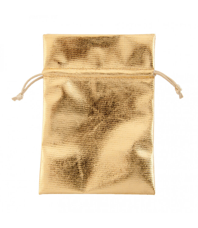 Bags Shiny 17*12cm x10 ( x 1 )