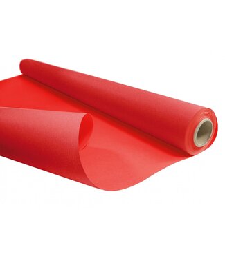 4A Papier Rol 80cm 40m 60g Duo ( x 1 )