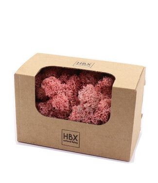4A Lichen de renne préservé rose | Poids 50 grammes | Par pièce