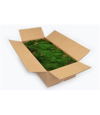 AD Platmos Gepreserveerd Bulk Ca. 2 M2 ( x 1 )