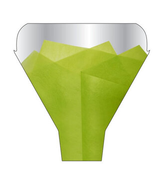 4A Limettengrüne Hüllen Finewrap | Größe 50 x 35 x 10 Zentimeter | Pro 50 Stück