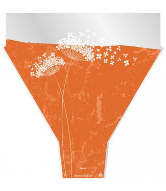4A Hoezen Flower Wishes 50*35*10cm x50 ( x 1 )