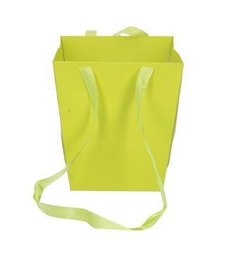 4A Sacs vert pomme Élégant | Dimensions 12,5 x 16,5 x 18 centimètres | Par 10 pièces