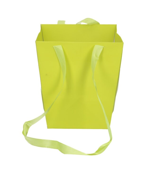 Apple green bags Elegant | Size 12.5 x 16.5 x 18 centimetres | Available to order in sets of 10