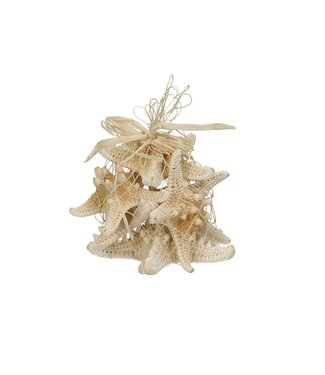4A Étoiles de mer Knobby coquillages | Diamètre 8 centimètres | Contenu 5 étoiles de mer | Par pièce