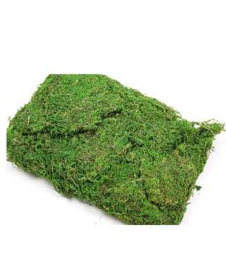 4A Mousse verte séchée déco sèche | Poids 250 grammes | Par pièce