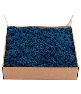 AD Lichen des rennes ou mousse d'Islande préservée bleu roi | Poids 5 kilogrammes | Par pièce