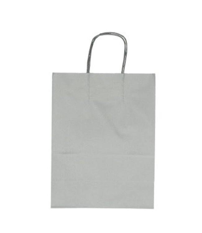 Silver-coloured paper bags | Size 18 x 8 x 22 centimetres | Available to order in sets of 50