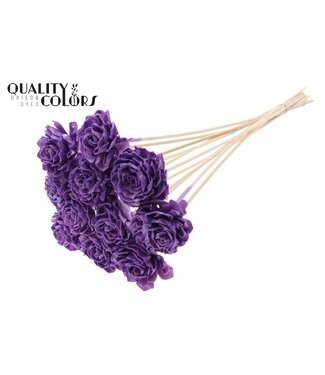 QC Shola Dhaliya 6cm on stem Wax Milka | Per 50 stuks