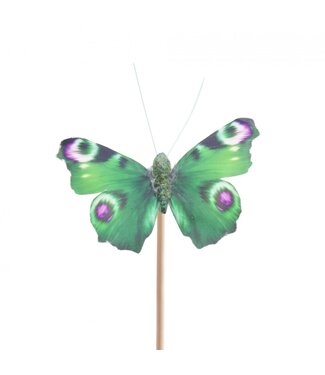 4A Bijsteker 50cm Vlinder Auralia 8cm ( x 25 )