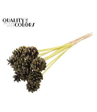 QC Pine cone 5-7cm on stem Frosted Mint | Per 50 stuks