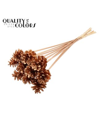 QC Pine cone 5-7cm on stem Antique Gold ( x 50 )