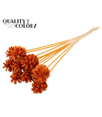 QC Pine cone 5-7cm on stem Intense Orange ( x 50 )
