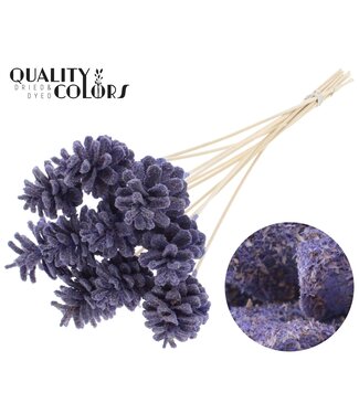 QC Pine cone 5-7cm on stem Sawdust Milka | Per 50 stuks
