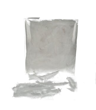 4A Plumes Blanches d'une Dinde | Contenu 45 grammes | Par pièce