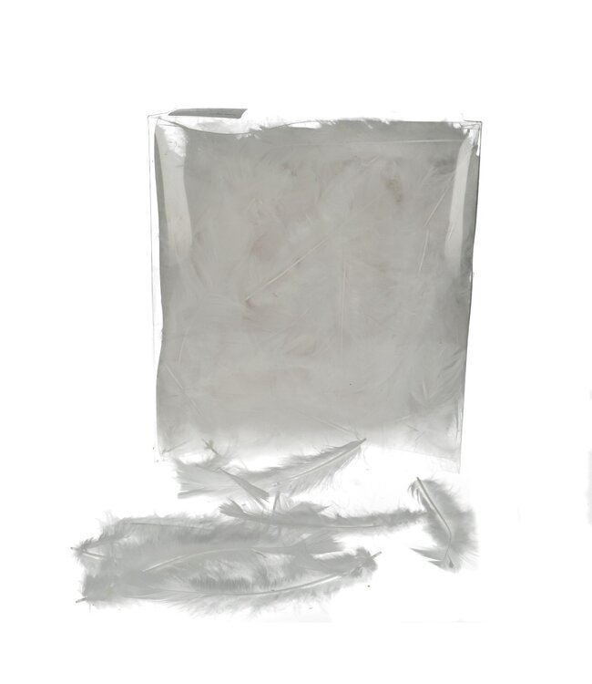 Plumes Blanches d'une Dinde | Contenu 45 grammes | À l'unité à commander