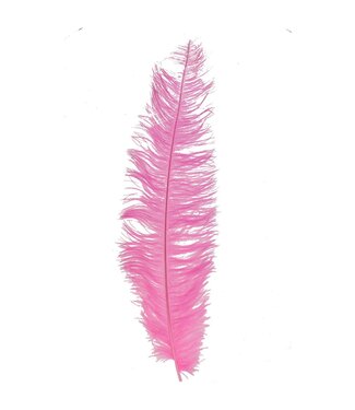 4A Fuchsia Federn eines Straußes | Länge 60 Zentimeter | Inhalt 5 Federn | Pro Stück