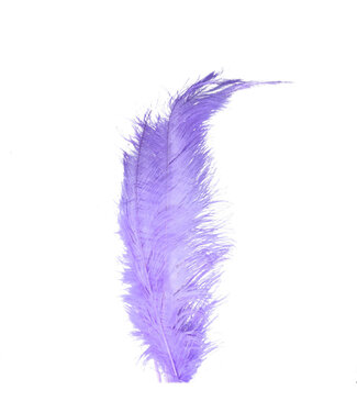 4A Plumes violettes d'une autruche | Longueur 55 centimètres | 5 plumes par lot | Par pièce