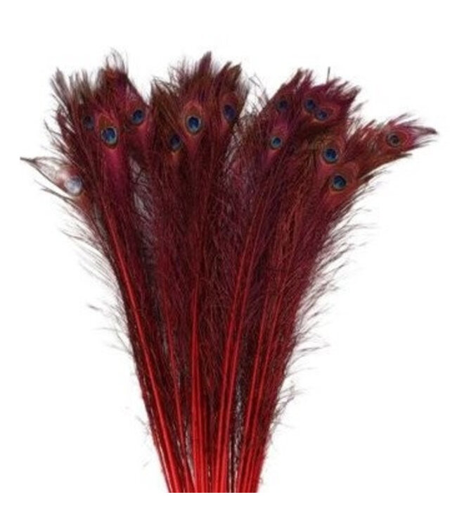 Plumes de Paon rouges | Longueur 100 centimètres | Commande par 10 pièces