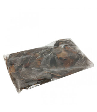 4A Decoratieve Veren van een Fazant | Inhoud 18 gram | Per stuk