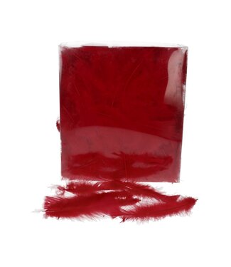 4A Red Feathers from a Turkey | Content 45 grams | Each