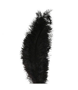 4A Plumes Noires d'une Autruche | Longueur 60 centimètres | Contenu 5 plumes | Par pièce