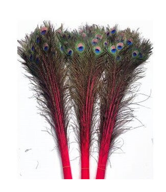 4A Plumes de paon couleur cerise | Longueur 100 centimètres | Par 10 pièces