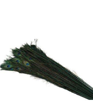 4A Green Peacock feathers | Length 100 centimetres | Per 10 pieces