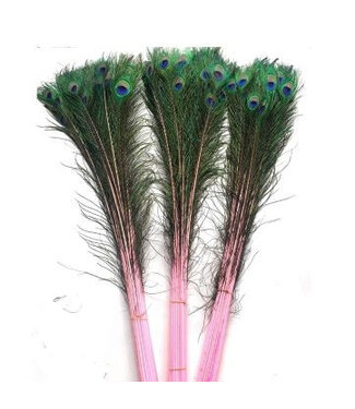 4A Veren Pauw 100cm | Per 10 stuks