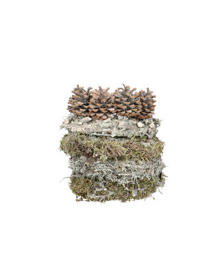 4A Naturelle blanc Gradina assortiment couronne pommes de pin mousse | Diamètre 20 centimètres | Par 5 pièces
