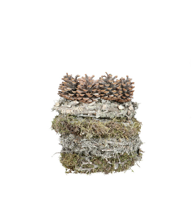 Natural white Gradina assortment wreath pine cones moss | Diameter 20 centimetres | Available to order in sets of 5 pieces