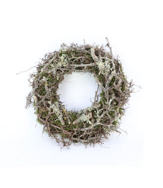 4A Couronne de bonsaï larix gris | Diamètre 45 centimètres | Par pièce