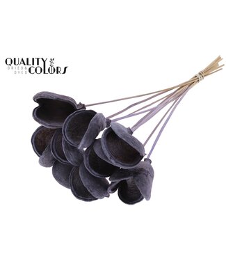 QC Badam on stem Frosted Milka | Per 50 stuks
