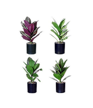 4A Kunstplanten Pot Ficus Elastica d11*35cm ( x 4 )