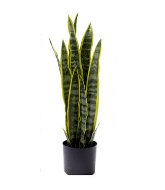 4A Kunstplanten Pot Sanseveria d16*68cm ( x 1 )
